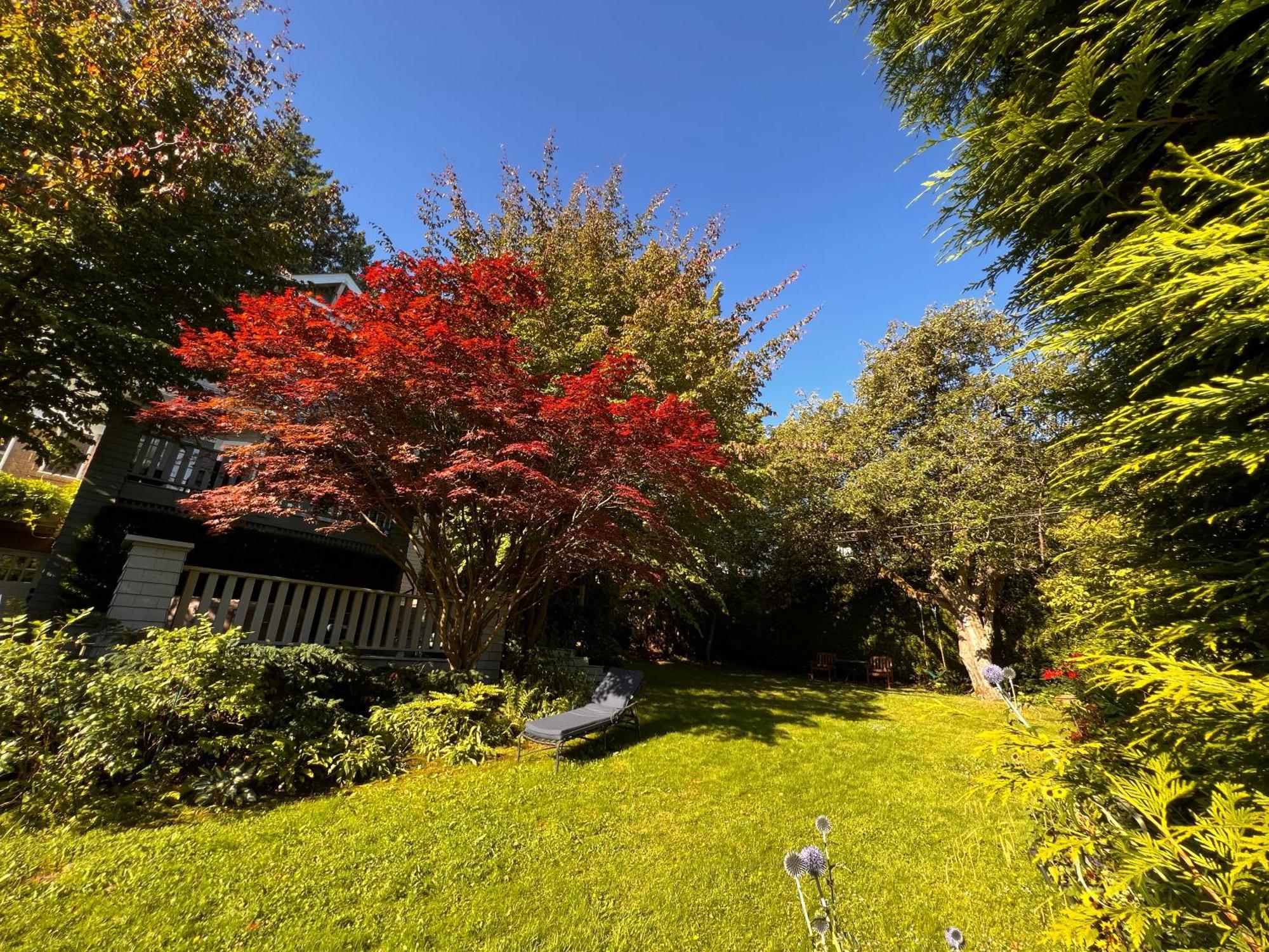 Aristocrathomestay Vancouver Kültér fotó